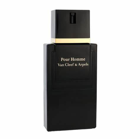 Van Cleef & Arpels Pour Homme 100 ml Eau De Toilette – Simply Sublime